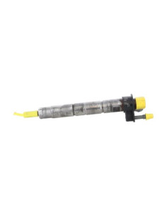 Injecteurs BMW SERIE 5 G30 PHASE 1 Diesel 2