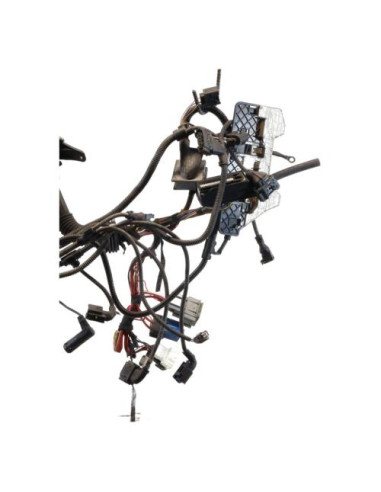 Faisceau moteur BMW SERIE 3 E90 PHASE 1 Diesel
