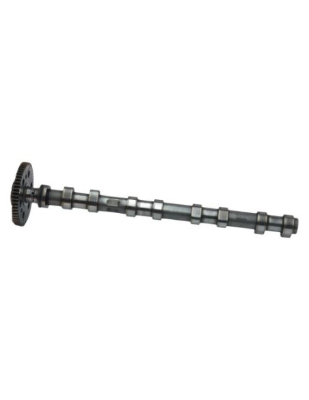 Arbre a came BMW SERIE 1 E87 PHASE 1 Diesel