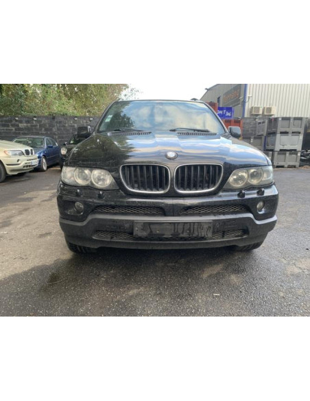 Support poignee porte arriere gauche BMW X5 E53 Diesel