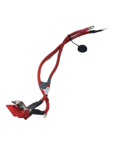 Cosse de batterie BMW SERIE 1 F20 PHASE 2 Diesel