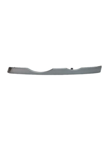 Enjoliveur moustache optique avant gauche BMW X5 E53 