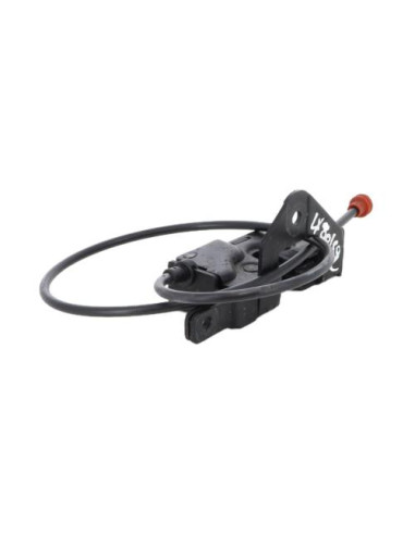 Serrure de hayon BMW X5 E53 
