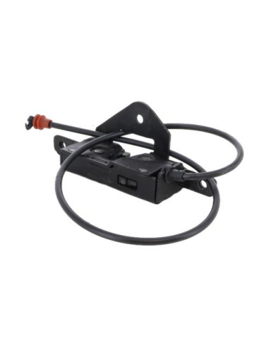 Serrure de hayon BMW X5 E53 