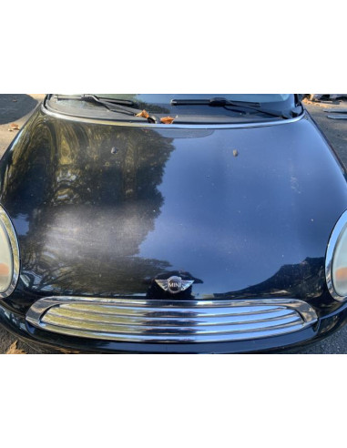 Pompe de gavage MINI MINI 2 R56 PHASE 1 Essence