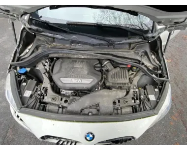 Eclairage de plafonnier BMW SERIE 2 F45 ACTIVE TOURER PHASE 2 Diesel