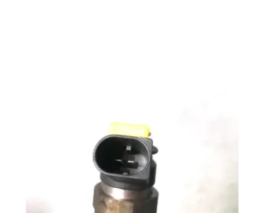 Injecteurs BMW SERIE 3 E46 COMPACT PHASE 1 Diesel